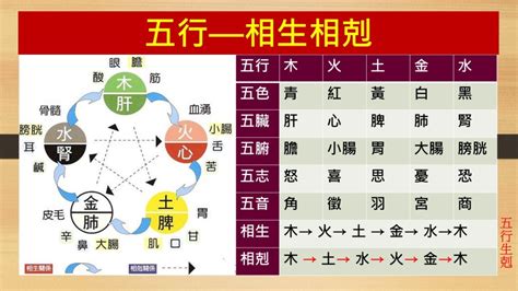 土剋什麼|五行相剋:又作“五行相勝”，指木、火、土、金、水五種。